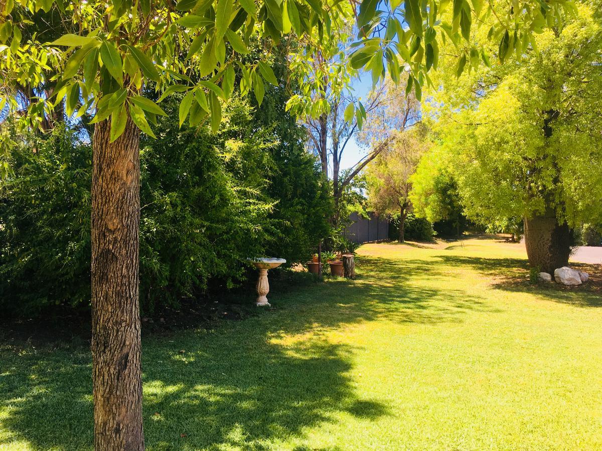 Balonne River Motor Inn Saint George Esterno foto